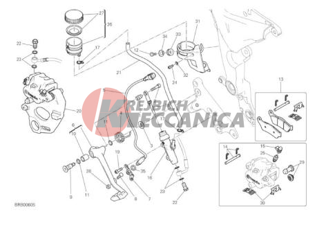 REAR BRAKING SYSTEM