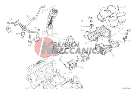 THROTTLE BODY