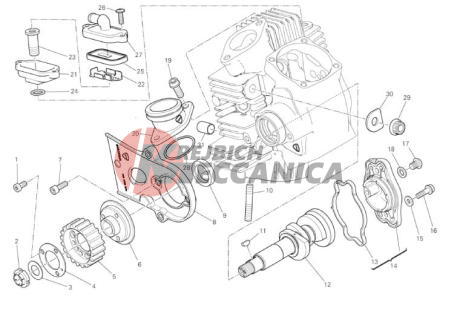 HORIZONTAL HEAD - TIMING SYSTEM
