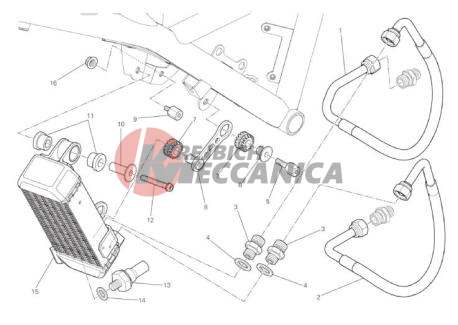OIL COOLER