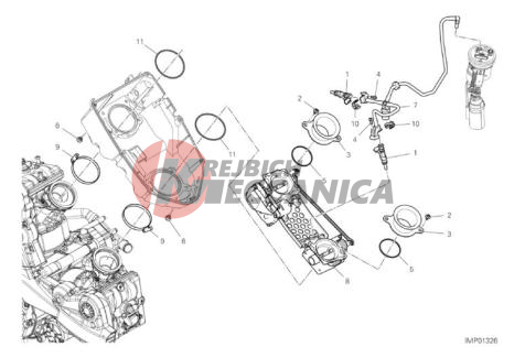 THROTTLE BODY