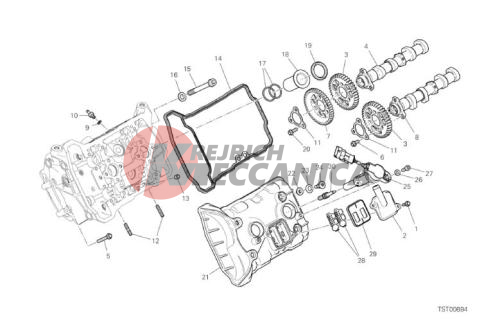 FRONT HEAD - TIMING SYSTEM