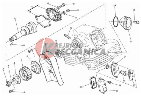 VERTICAL CYLINDER HEAD - TIMING