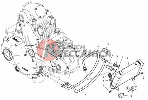 OIL COOLER