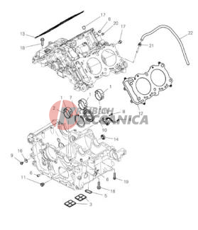HALF-CRANKCASES PAIR