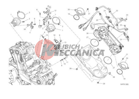 THROTTLE BODY