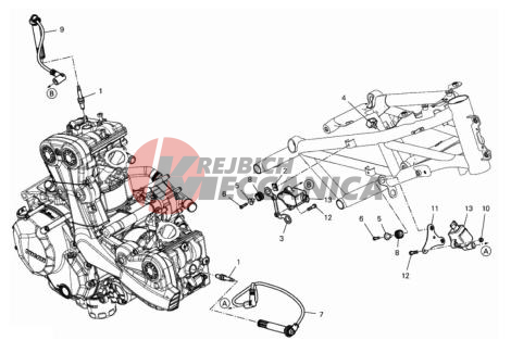 WIRING HARNESS (COIL)