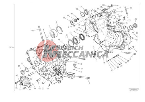 HALF-CRANKCASES PAIR