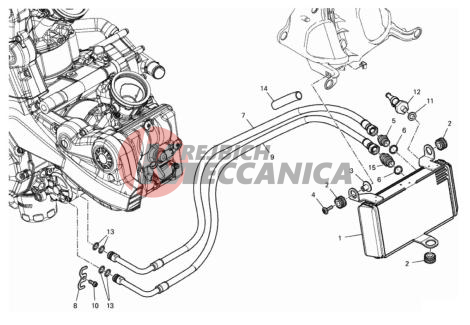 OIL COOLER