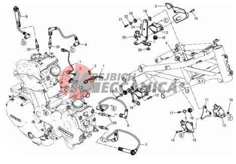 WIRING HARNESS (COIL)