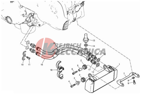 OIL COOLER