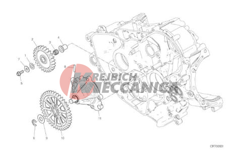 10A WATER PUMP