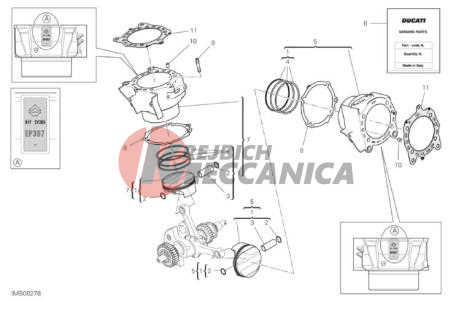 CYLINDERS - PISTONS (ASSO WERKE)