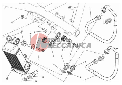 OIL COOLER