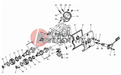 HORIZONTAL HEAD – TIMING SYSTEM