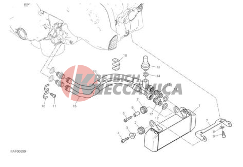 OIL COOLER