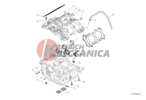 HALF-CRANKCASES PAIR