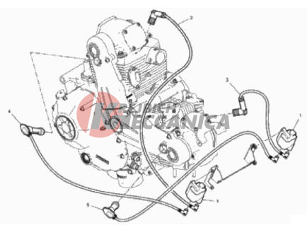 WIRING HARNESS (COIL)