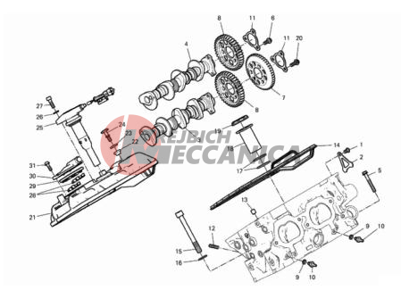 REAR HEAD - TIMING SYSTEM