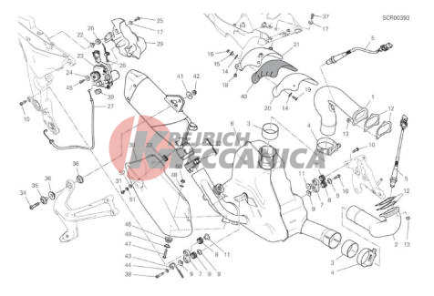 EXHAUST SYSTEM