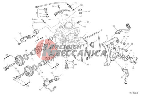 HORIZONTAL HEAD - TIMING SYSTEM