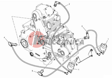 WIRING HARNESS (COIL)