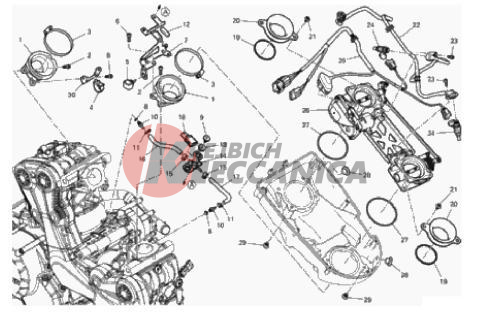 THROTTLE BODY
