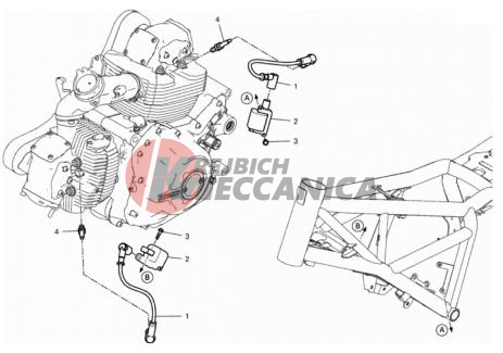WIRING HARNESS (COIL)