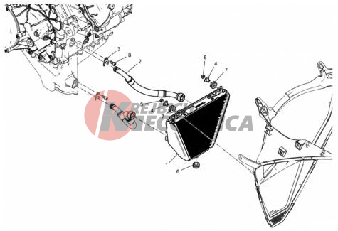 OIL COOLER