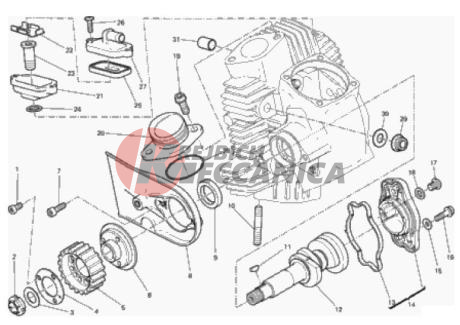 HORIZONTAL HEAD – TIMING SYSTEM