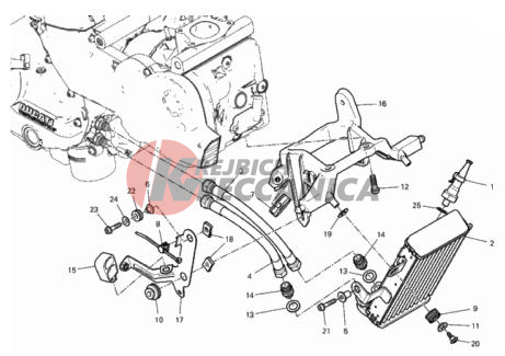 OIL COOLER