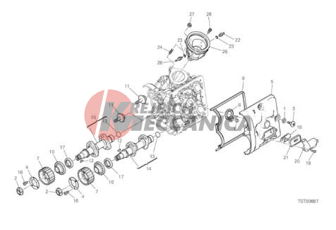 HORIZONTAL HEAD - TIMING SYSTEM