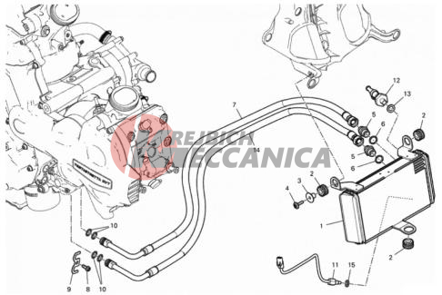OIL COOLER