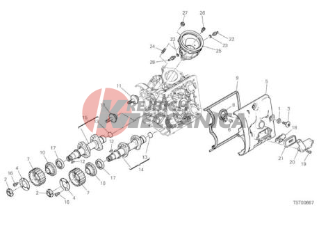 HORIZONTAL HEAD - TIMING SYSTEM