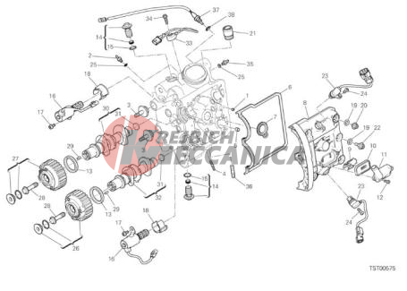 HORIZONTAL HEAD - TIMING SYSTEM