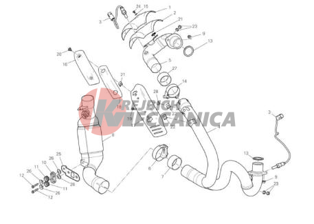 EXHAUST PIPE ASSY