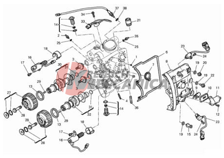HORIZONTAL HEAD – TIMING SYSTEM