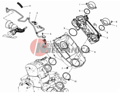 THROTTLE BODY