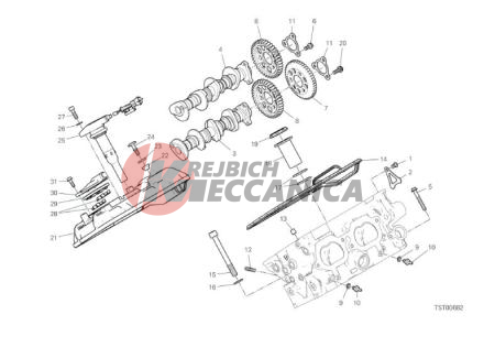 FRONT HEAD - TIMING SYSTEM