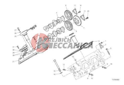 REAR HEAD - TIMING SYSTEM