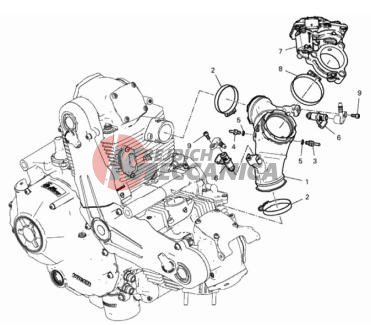 THROTTLE BODY
