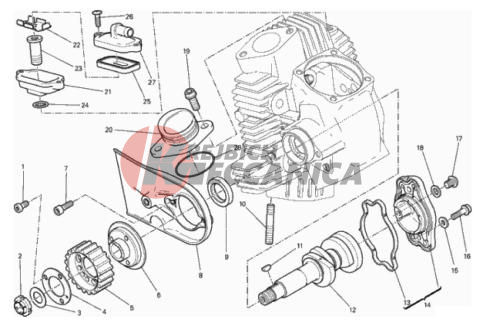 HORIZONTAL HEAD – TIMING SYSTEM