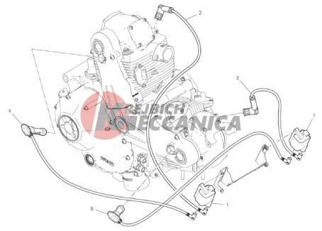 WIRING HARNESS (COIL)
