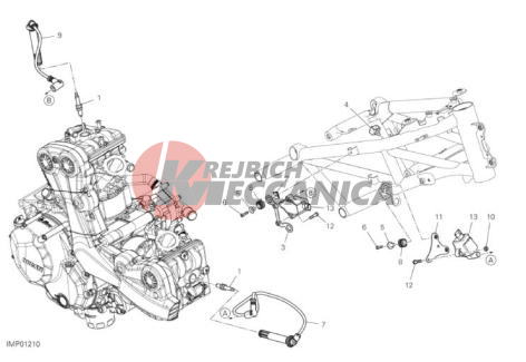 WIRING HARNESS (COIL)