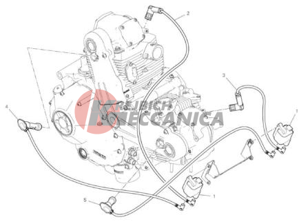 WIRING HARNESS (COIL)