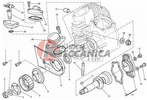 HORIZONTAL HEAD – TIMING SYSTEM