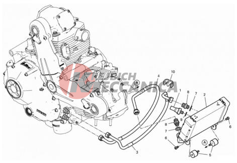OIL COOLER