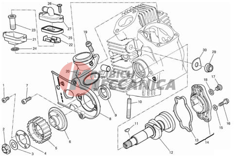 HORIZONTAL HEAD – TIMING SYSTEM