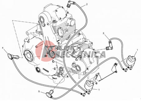 WIRING HARNESS (COIL)