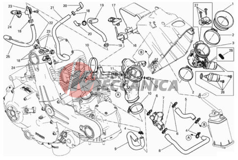 THROTTLE BODY